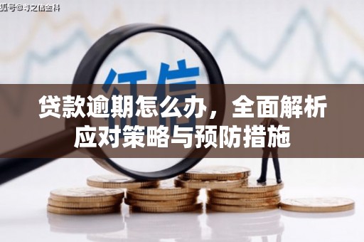 余姚贷款逾期怎么办，全面解析应对策略与预防措施