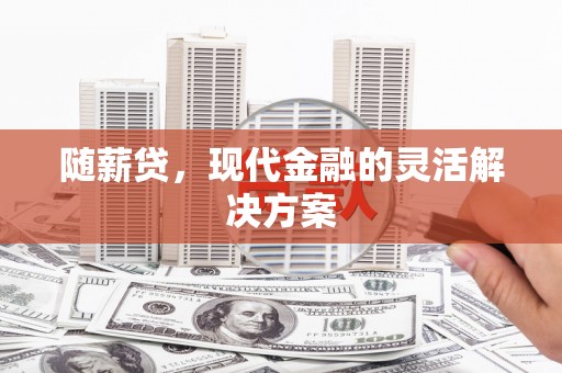 余姚随薪贷，现代金融的灵活解决方案
