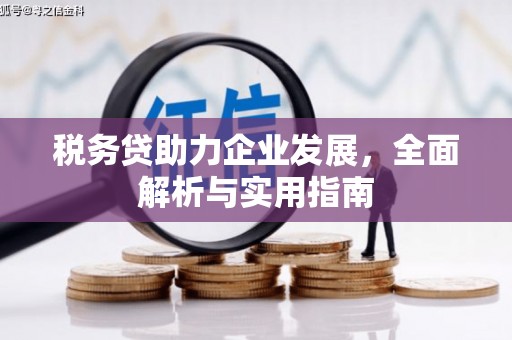 余姚税务贷助力企业发展，全面解析与实用指南