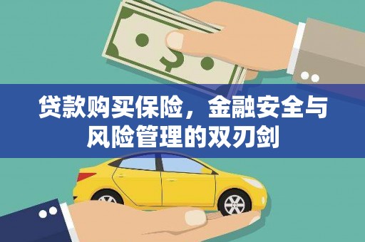 余姚贷款购买保险，金融安全与风险管理的双刃剑