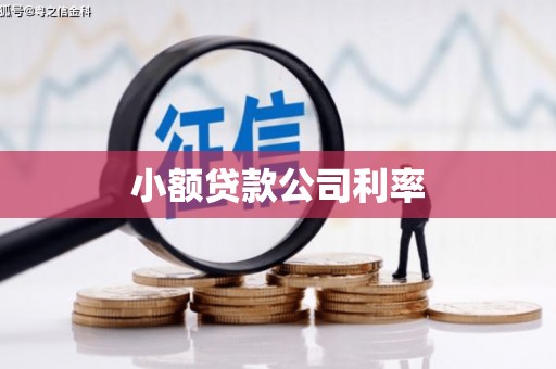 余姚小额贷款公司利率