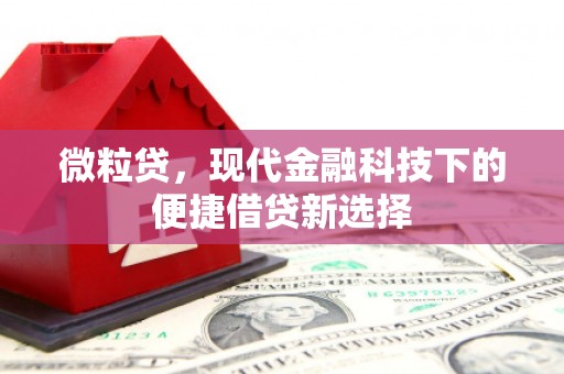 余姚微粒贷，现代金融科技下的便捷借贷新选择