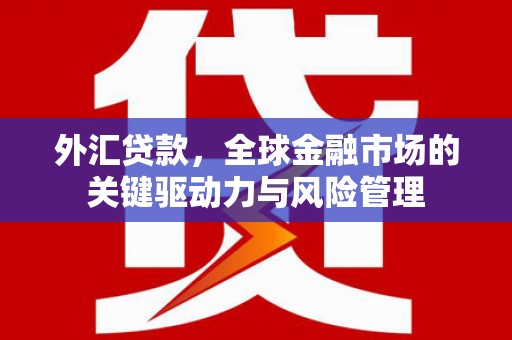 余姚外汇贷款，全球金融市场的关键驱动力与风险管理