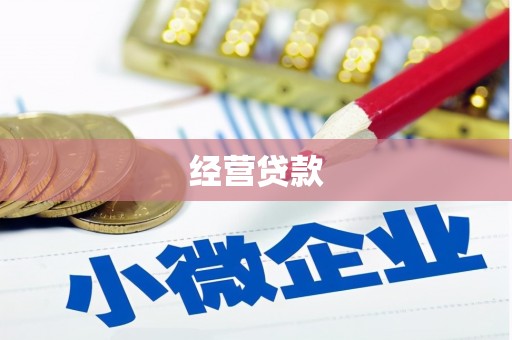 余姚经营贷款