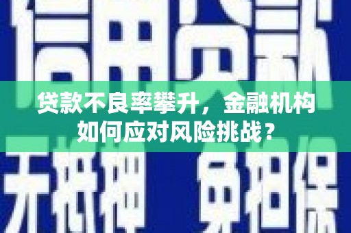 余姚贷款不良率攀升，金融机构如何应对风险挑战？