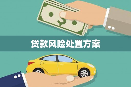 余姚贷款风险处置方案