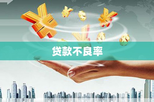 余姚贷款不良率