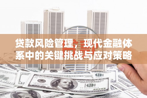 余姚贷款风险管理，现代金融体系中的关键挑战与应对策略