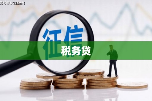 余姚税务贷