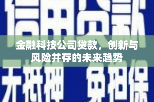 余姚金融科技公司贷款，创新与风险并存的未来趋势