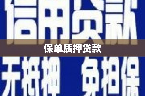 余姚保单质押贷款