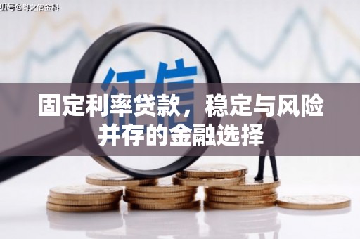 余姚固定利率贷款，稳定与风险并存的金融选择