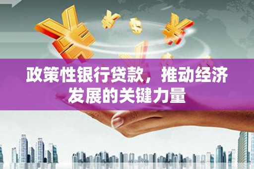 余姚政策性银行贷款，推动经济发展的关键力量