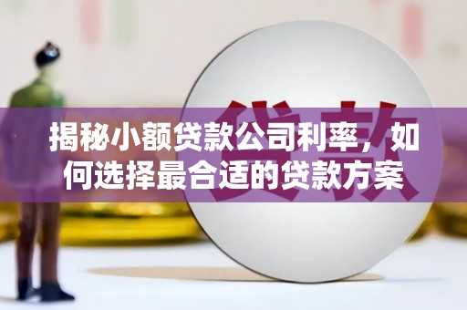 余姚揭秘小额贷款公司利率，如何选择最合适的贷款方案