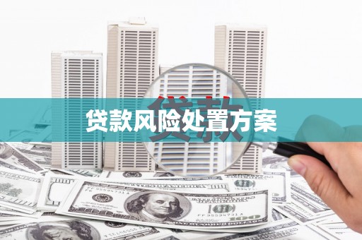 余姚贷款风险处置方案